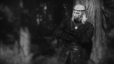 巫师3:狂猎 第三卷 - 半忠实于原设定的材质重制