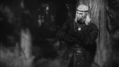巫师3:狂猎 第三卷 - 半忠实于原设定的材质重制