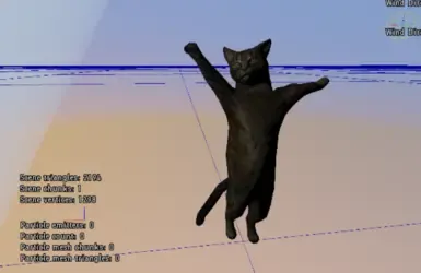 双足猫