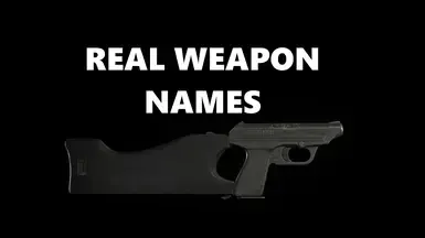 真实武器名称