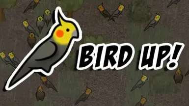 BIRD UP 捆绑包