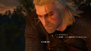 《巫师3》日文字体替换器