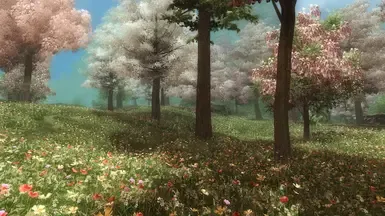 贝蒂的春季大修