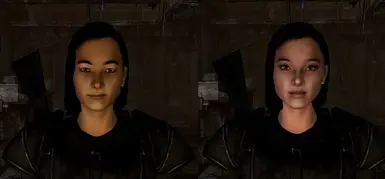 悉尼同伴 TWR 补丁
