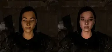 悉尼同伴 TWR 补丁