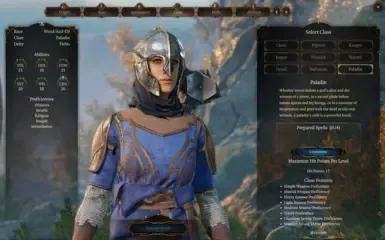 可游玩的圣骑士职业