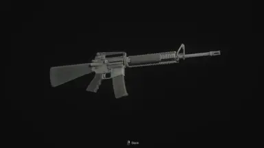 M16A3 芝加哥清扫者