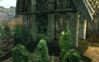WIP - 天际的大麻 - Beta .01