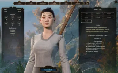 可玩武僧职业