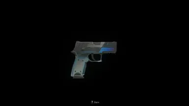 P250 瓦伦斯