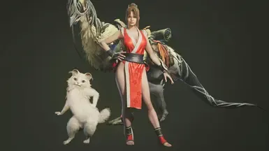 不知火舞的SF6服装