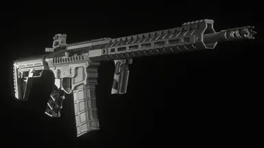 AR-15 运动版