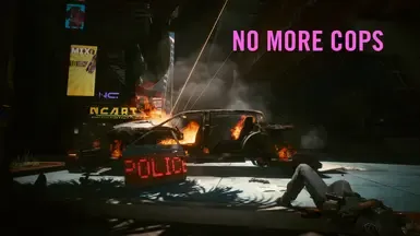 不再有警察