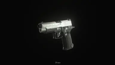 SG-09 致哨兵9