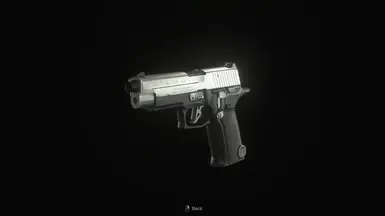 SG-09 致哨兵9