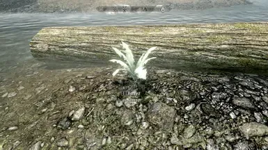 采集奈恩根获得的炼金经验