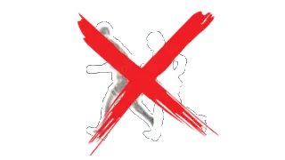没有阿什莉订单图标
