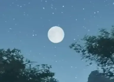 撤销月相周期修复