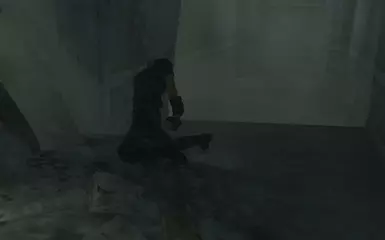 真实物理