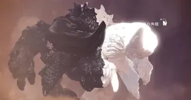 黑白角龙