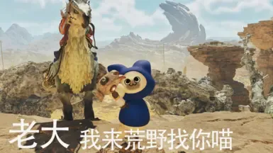 T骨套装