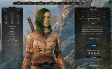 可玩的德鲁伊职业