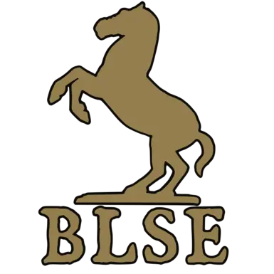 《骑马与砍杀2:霸主》软件扩展器(BLSE)