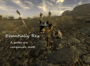 DTM的《Essentially Rex》