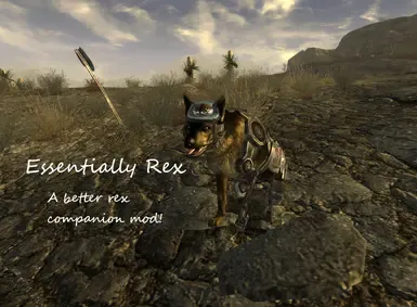 DTM的《Essentially Rex》