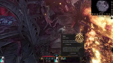 不再有蜘蛛  测试补丁8 仅限新游戏