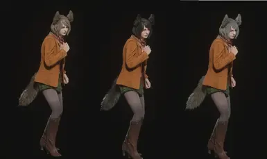 沃尔夫·阿什莉（耳朵和尾巴始终显露）