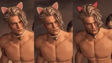 莱昂可爱的猫耳朵