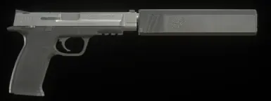 SW MP9