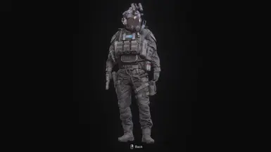 里昂的BSAA制服(默认)
