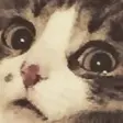 哇哦