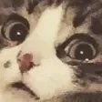 哇哦