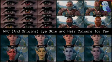 NPC（及起源角色）为Tav设计的眼睛、皮肤和发色