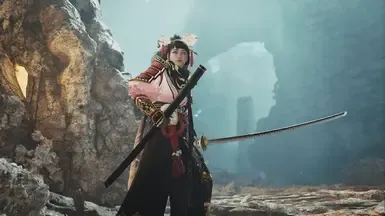 大和（剑与盾）（DMC 5）