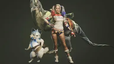 哈莉·奎因的服装