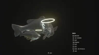天使低音