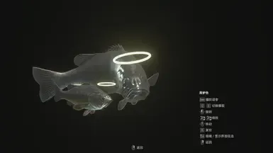 天使低音