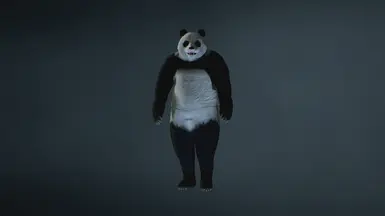 熊猫先生X
