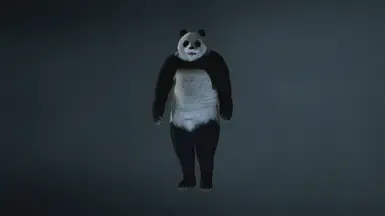 熊猫先生X