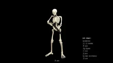 白骨骷髅