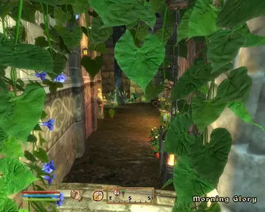 斯金格拉德房屋花园升级