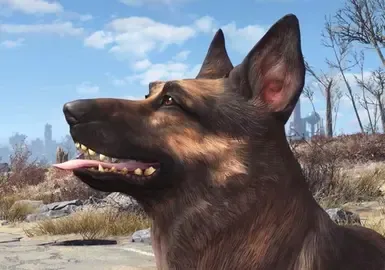 不具攻击性且聪明的狗肉(FO4Edit)