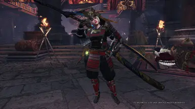 更纤瘦的武士分层护甲