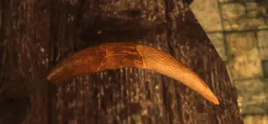 高清剑齿虎牙齿模型与贴图