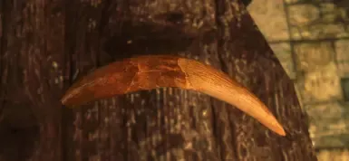 高清剑齿虎牙齿模型与贴图