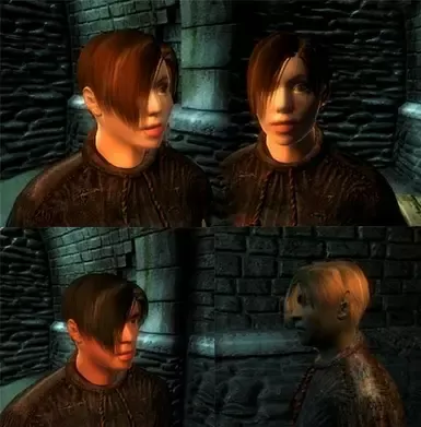 RE4 里昂的发型